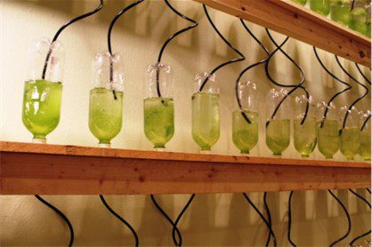 Are Vertical Gardens a Viable Option? 5 vertical-testing